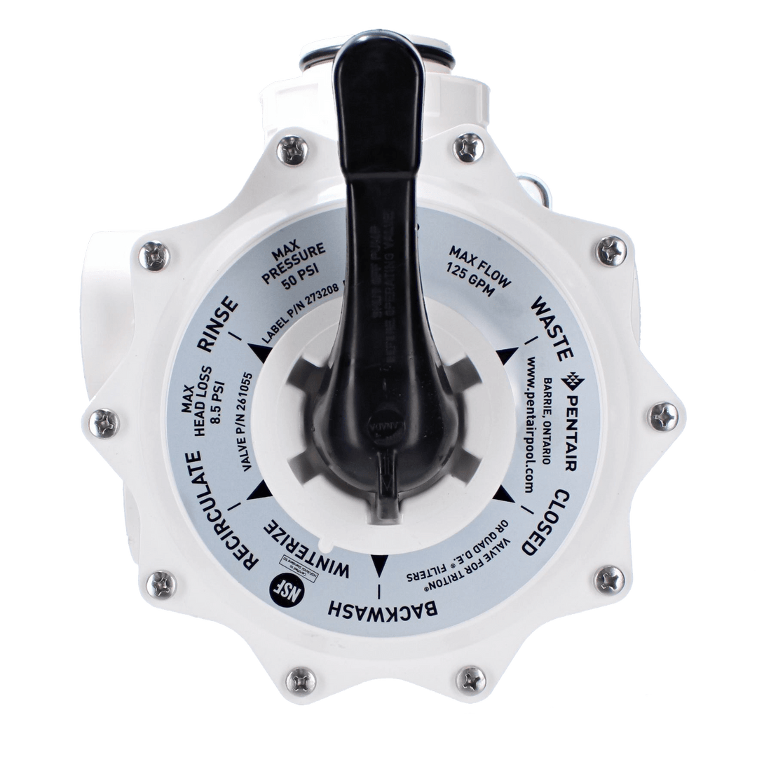 Pentair Sand Multiport Valve, 2" Side Mount | 261055