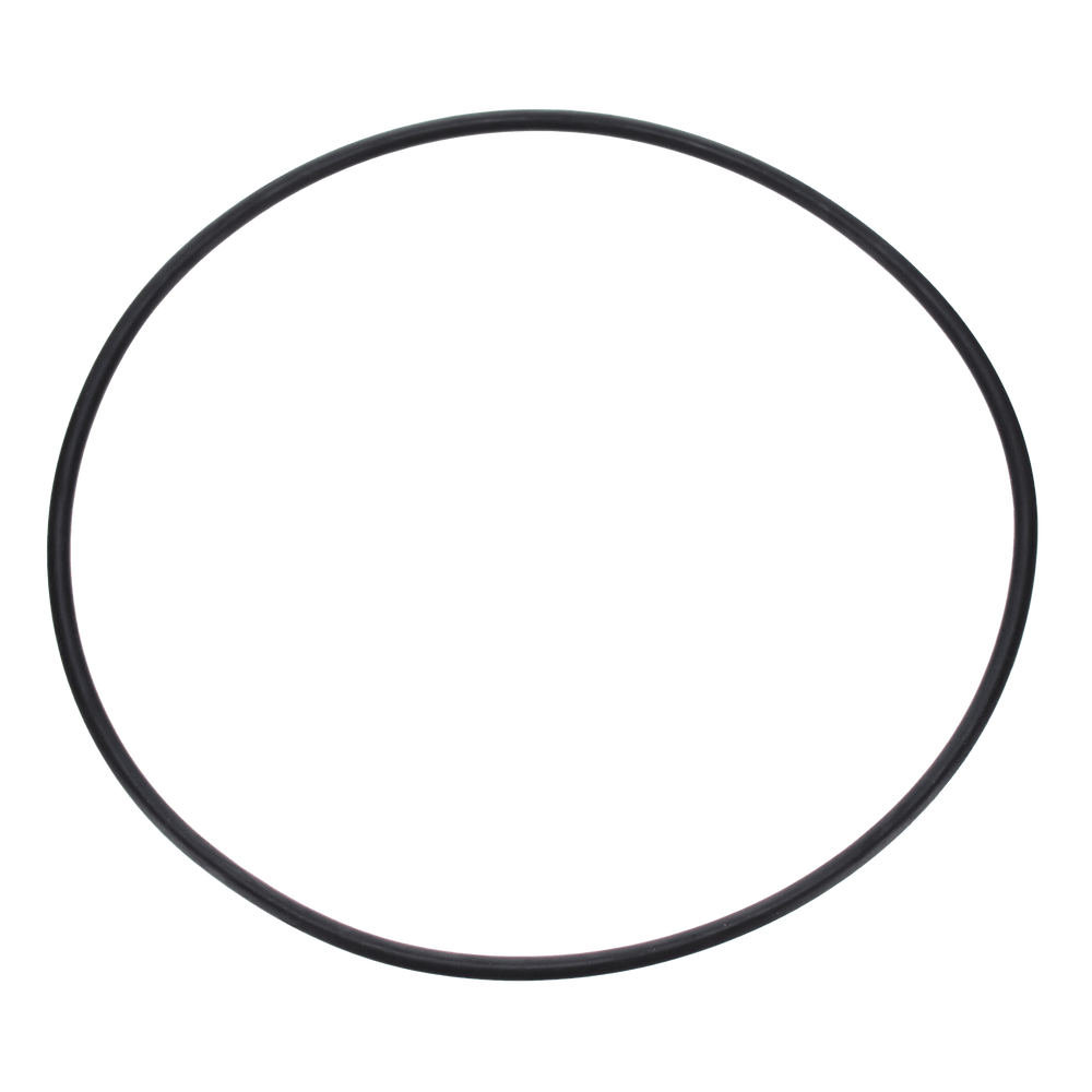 Pentair Seal Plate O-Ring | U9-228AZ