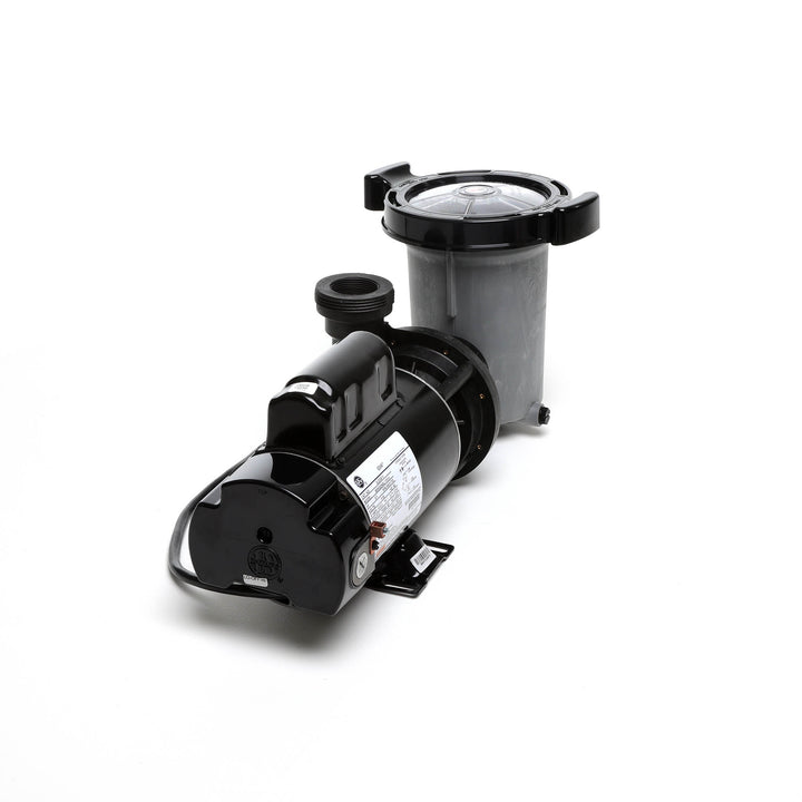 Waterway 2 HP Hi-Flo 2 Dual-Speed Above Ground Pump - 115V Twist-Lock Cord  | SD-10-2-T