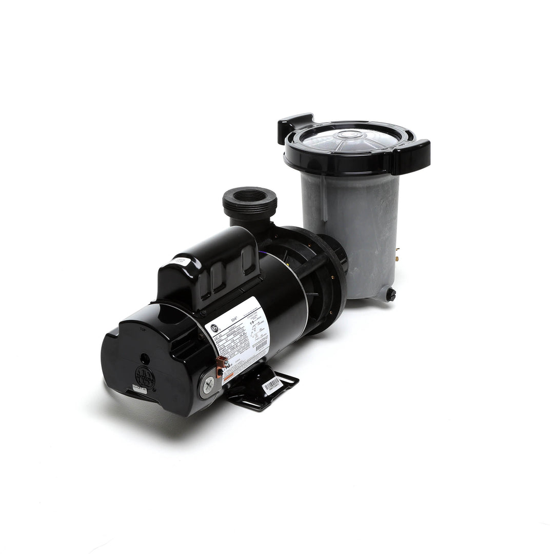 Waterway 2 HP Hi-Flo 2 Dual-Speed Above Ground Pump - 115V Twist-Lock Cord  | SD-10-2-T