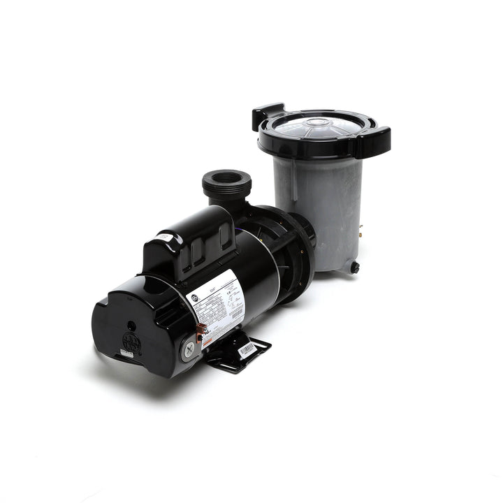 Waterway 2 HP Hi-Flo 2 Dual-Speed Above Ground Pump - 115V Twist-Lock Cord  | SD-10-2-T