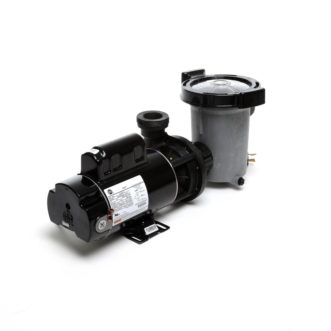 Waterway 2 HP Hi-Flo 2 Dual-Speed Above Ground Pump - 115V Twist-Lock Cord  | SD-10-2-T