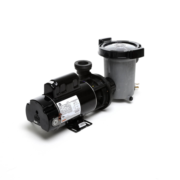 Waterway 2 HP Hi-Flo 2 Dual-Speed Above Ground Pump - 115V Twist-Lock Cord  | SD-10-2-T