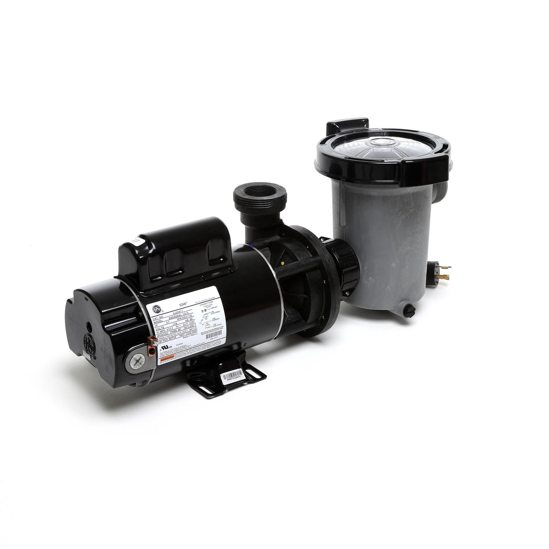 Waterway 2 HP Hi-Flo 2 Dual-Speed Above Ground Pump - 115V Twist-Lock Cord  | SD-10-2-T