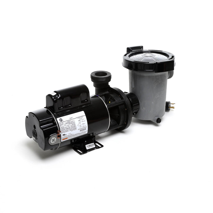Waterway 2 HP Hi-Flo 2 Dual-Speed Above Ground Pump - 115V Twist-Lock Cord  | SD-10-2-T