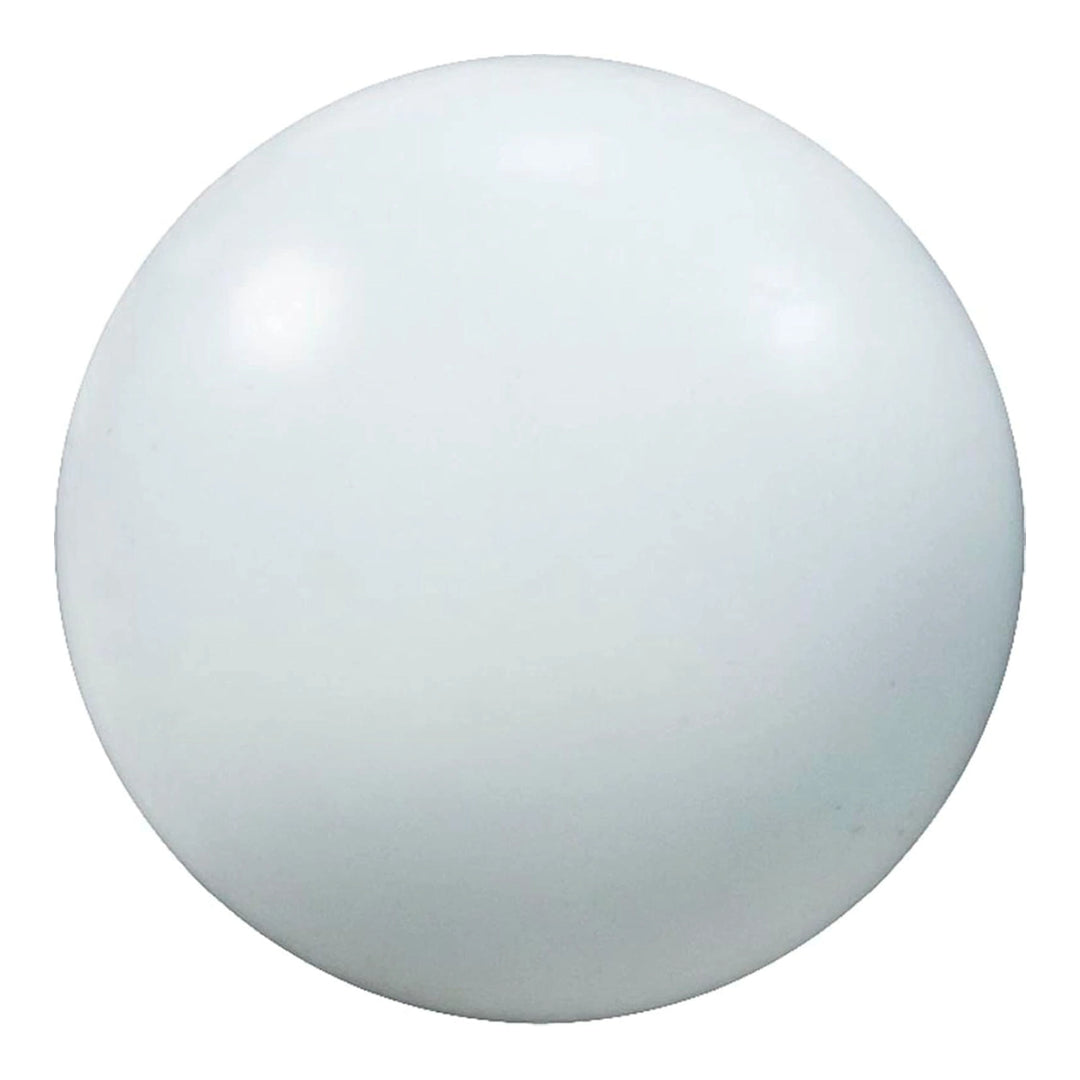 White glossy Pentair 1in Poly Check Ball shown as a smooth round plastic sphere against a white background.
