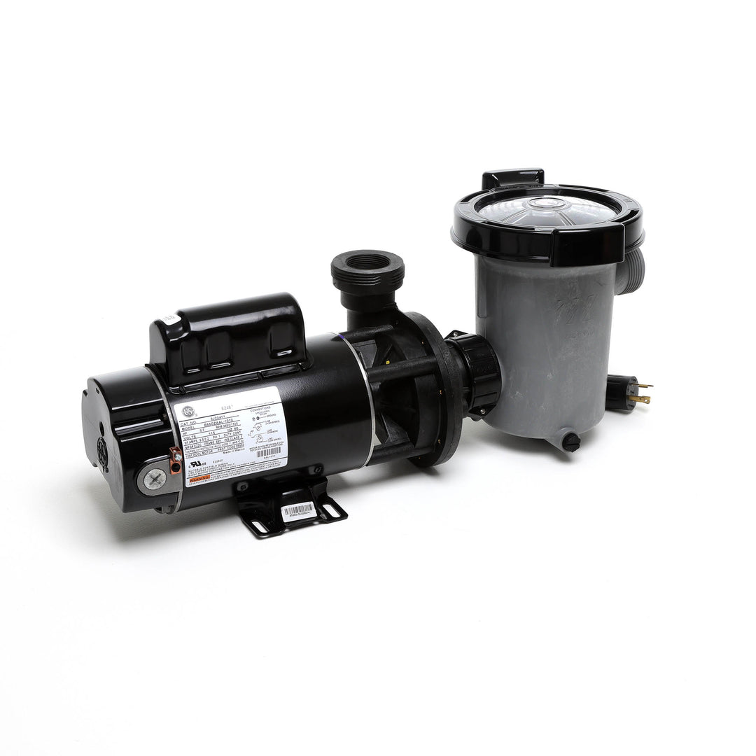 Waterway 2 HP Hi-Flo 2 Dual-Speed Above Ground Pump - 115V Twist-Lock Cord  | SD-10-2-T