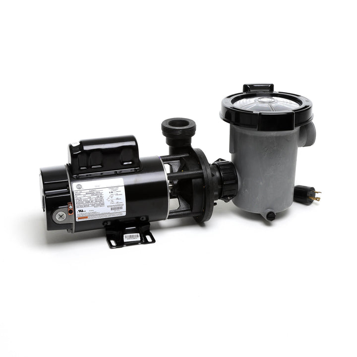 Waterway 2 HP Hi-Flo 2 Dual-Speed Above Ground Pump - 115V Twist-Lock Cord  | SD-10-2-T
