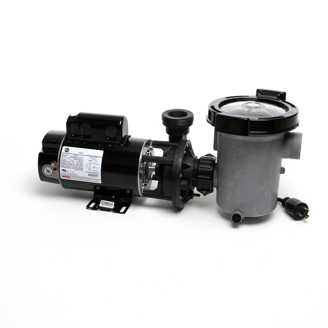 Waterway 2 HP Hi-Flo 2 Dual-Speed Above Ground Pump - 115V Twist-Lock Cord  | SD-10-2-T