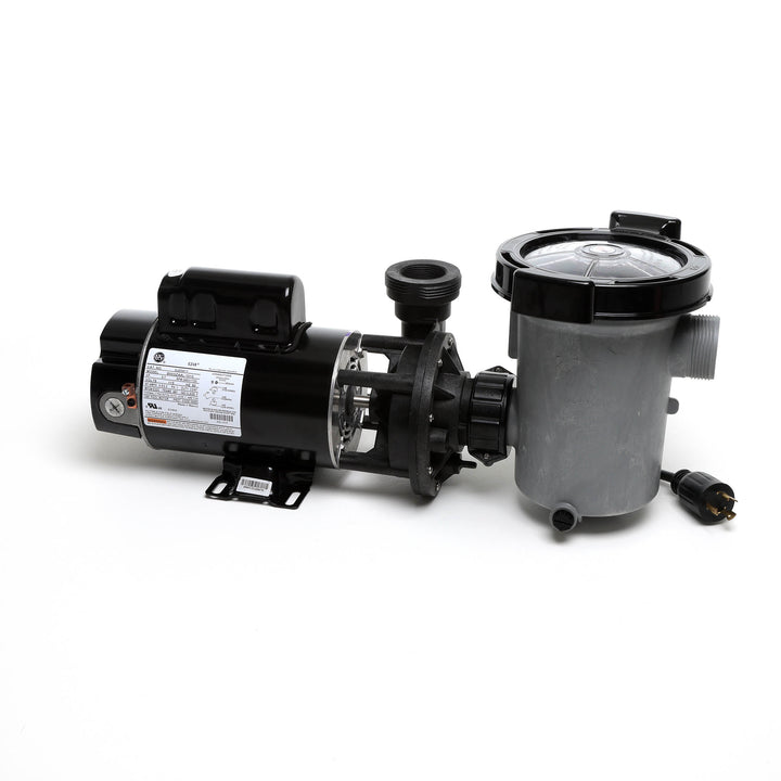 Waterway 2 HP Hi-Flo 2 Dual-Speed Above Ground Pump - 115V Twist-Lock Cord  | SD-10-2-T