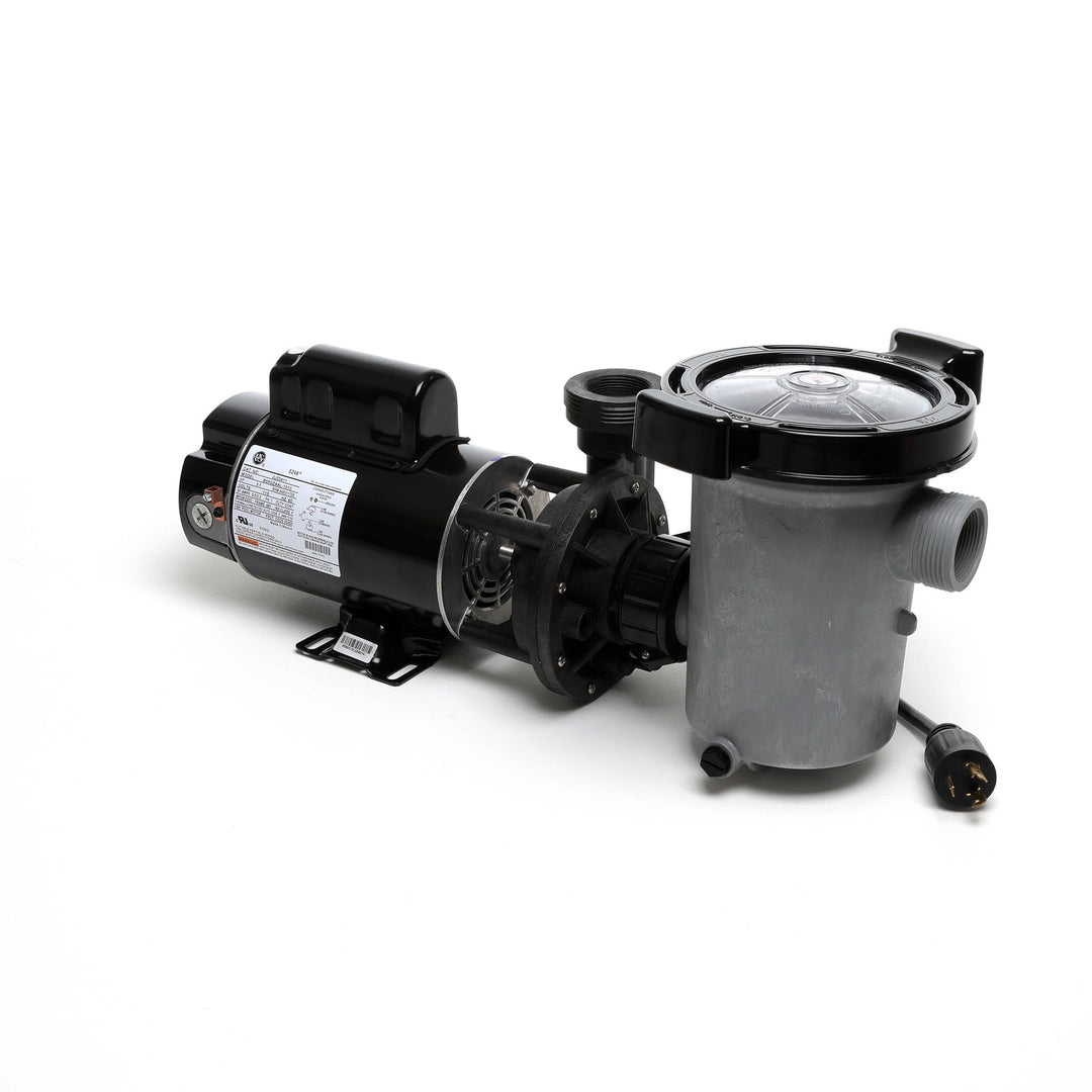 Waterway 2 HP Hi-Flo 2 Dual-Speed Above Ground Pump - 115V Twist-Lock Cord  | SD-10-2-T