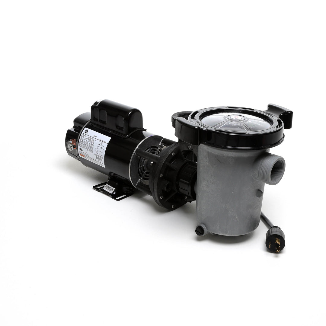 Waterway 2 HP Hi-Flo 2 Dual-Speed Above Ground Pump - 115V Twist-Lock Cord  | SD-10-2-T