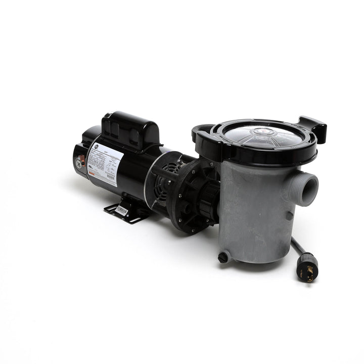 Waterway 2 HP Hi-Flo 2 Dual-Speed Above Ground Pump - 115V Twist-Lock Cord  | SD-10-2-T