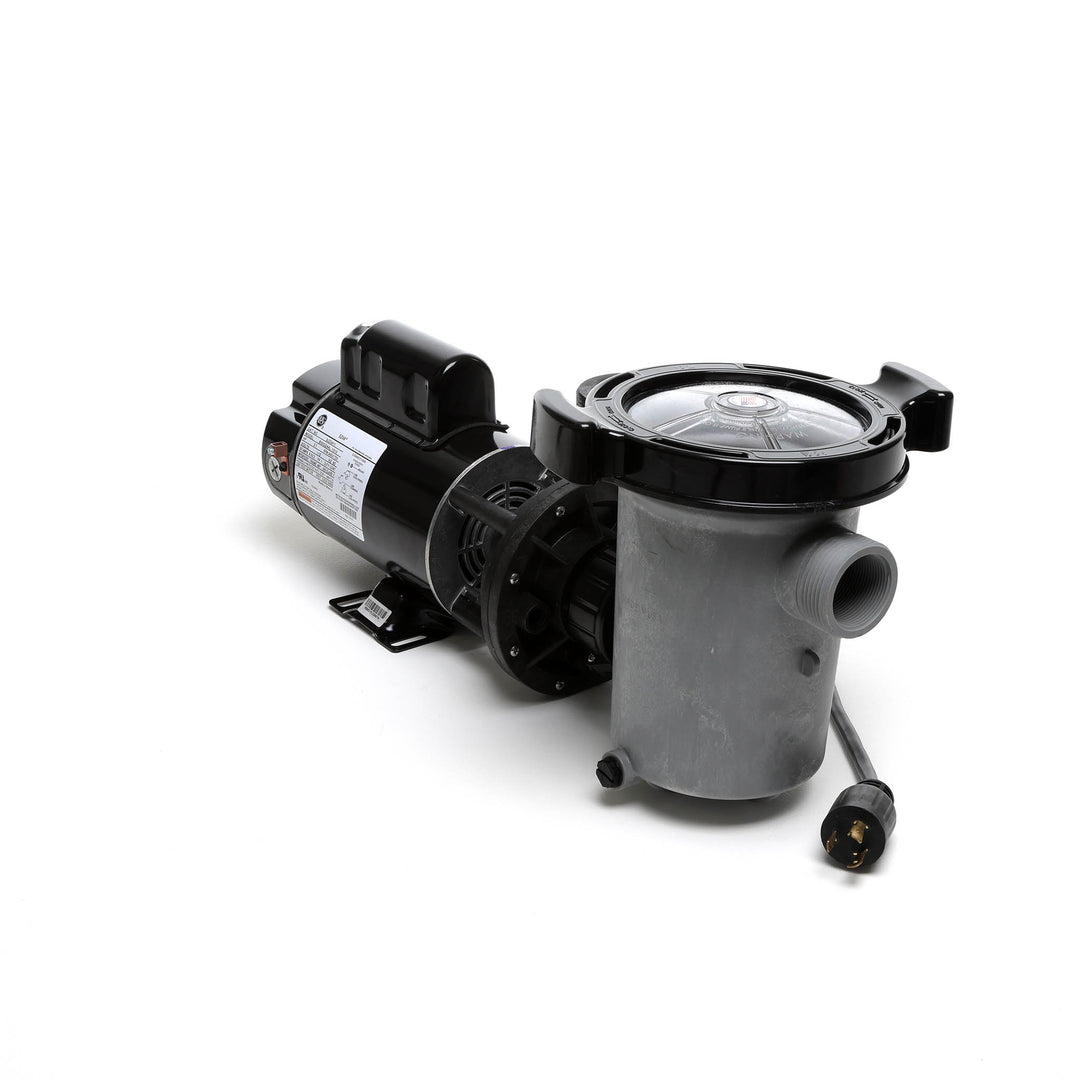 Waterway 2 HP Hi-Flo 2 Dual-Speed Above Ground Pump - 115V Twist-Lock Cord  | SD-10-2-T