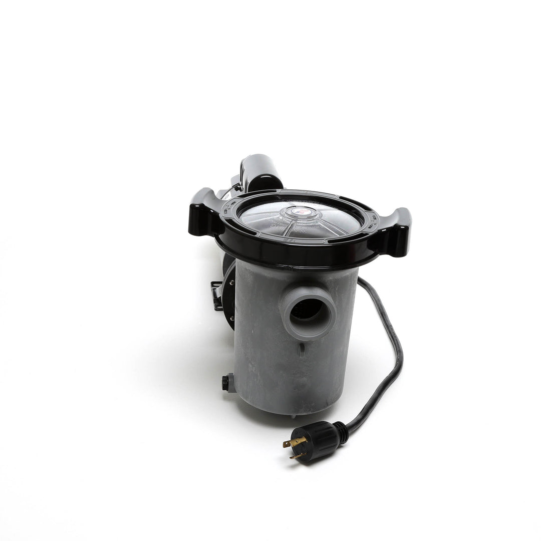 Waterway 2 HP Hi-Flo 2 Dual-Speed Above Ground Pump - 115V Twist-Lock Cord  | SD-10-2-T
