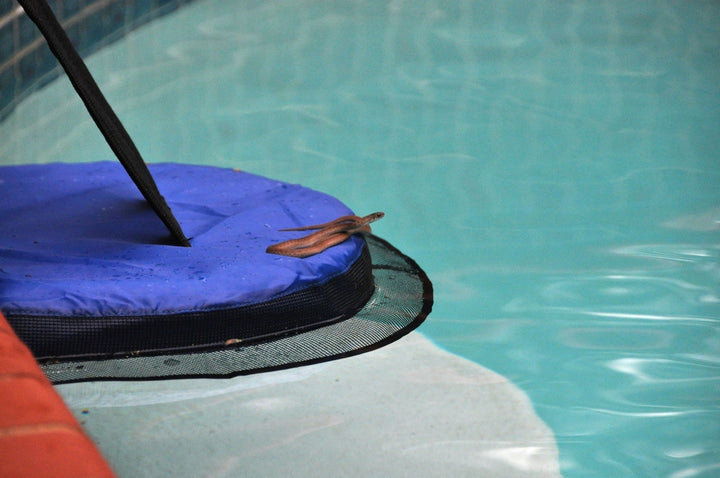 Swimline FrogLog Critter Saving Pool Escape Ramp | 70200