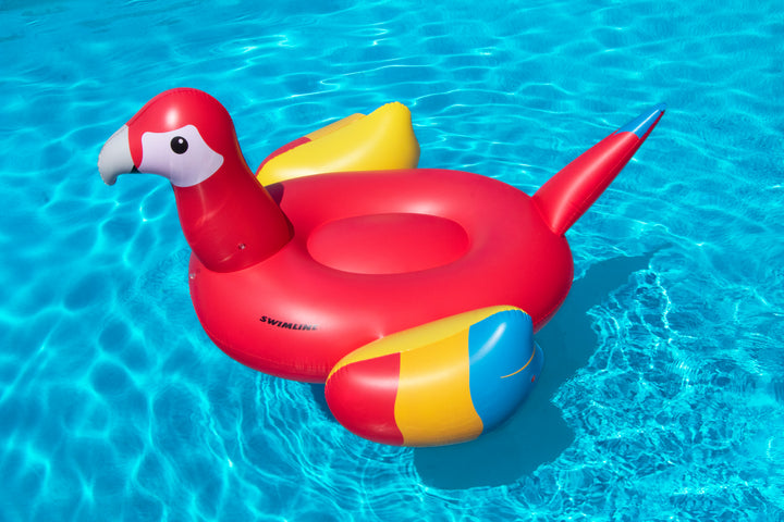 large inflatable parrot shaped pool float in bright red yellow and blue floating on clear blue water
