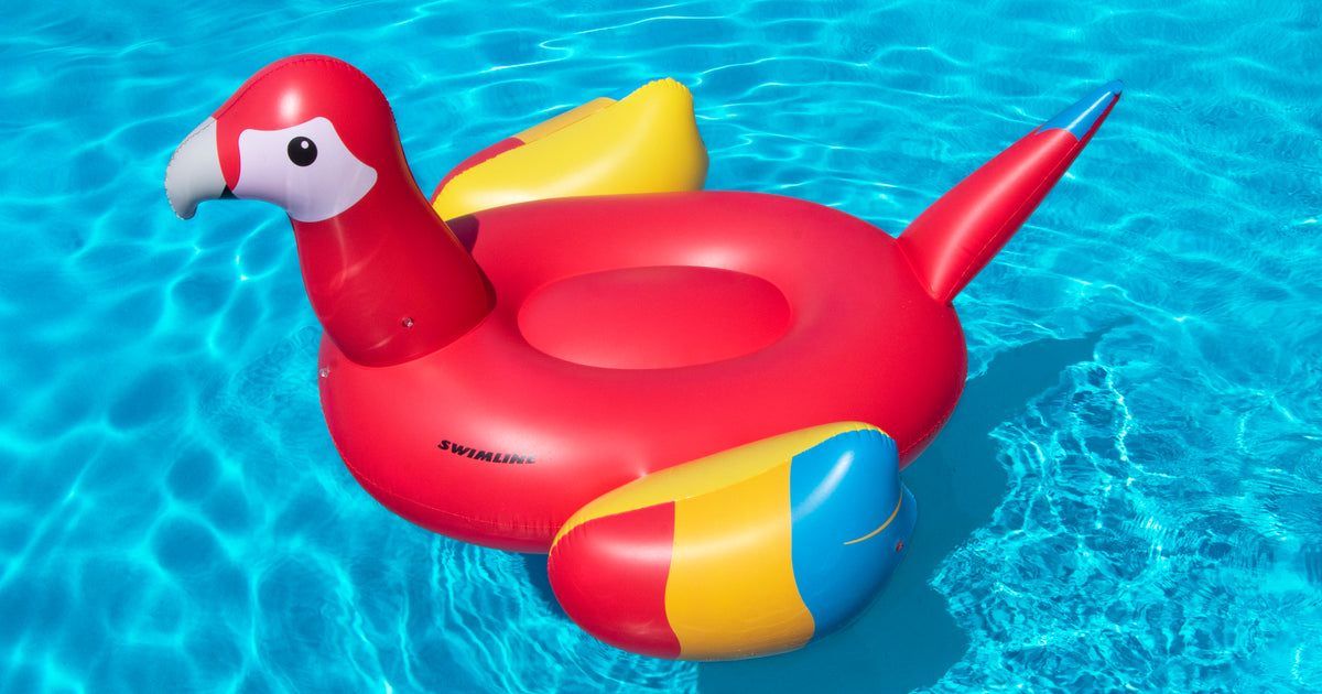 Swimline Giant Parrot Ride-On Pool Float | Tropical Fun – Poolaroo