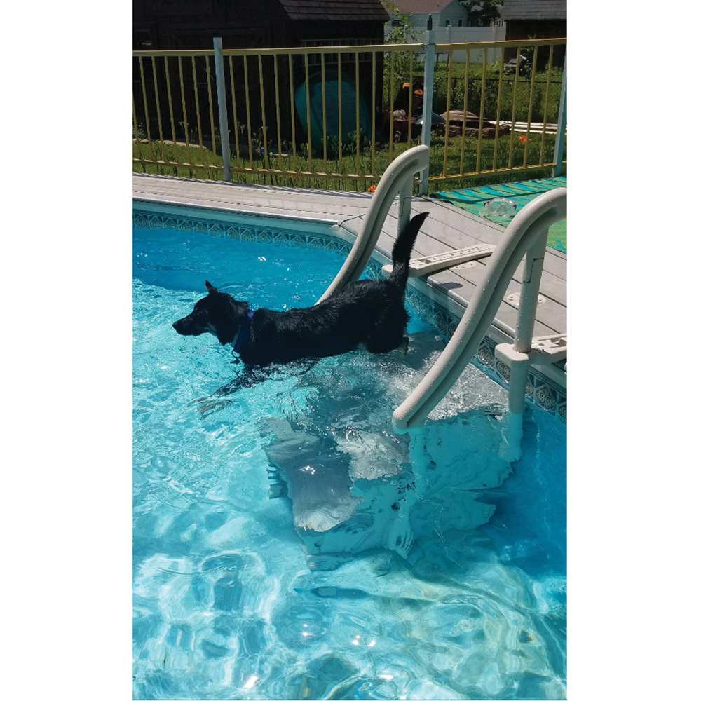 Confer Curve Base Beige In-Pool 3 Step For Ig Pool | Ccx-Ig