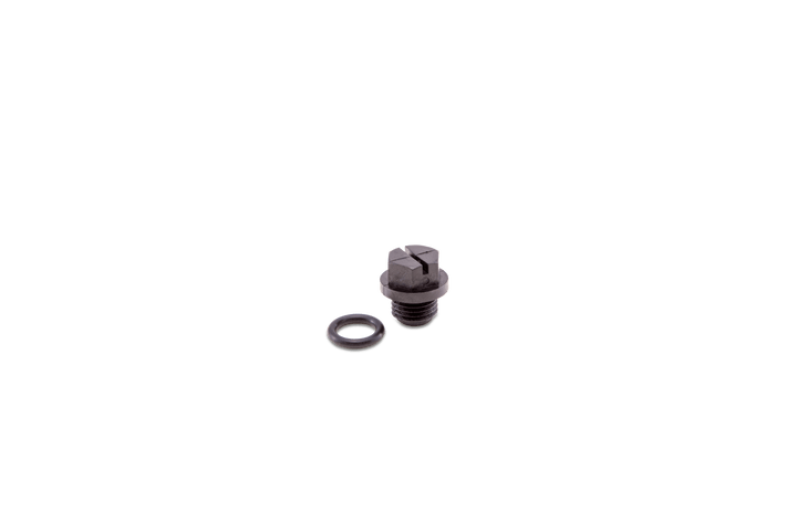 Hayward Pipe Plug with Gasket for Automatic Chlorine and Bromine Feeders CL100 CL200 CL2002S CL220 CL220ABG CL220BR | SPX1700FGV