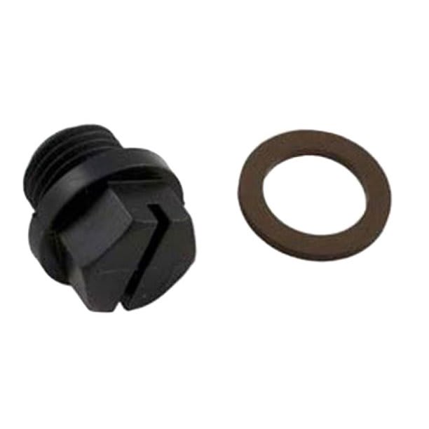 Hayward Pipe Plug w/ Gasket | SPX1700FG