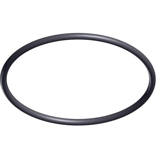 Hayward TriStar &amp; EcoStar Pump Strainer Cover O-Ring | SPX3200S