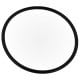 Pentair 2" O-Ring for 