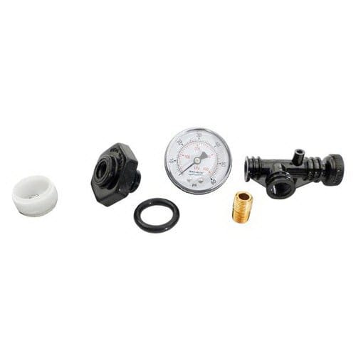 Pentair Valve &amp; Gauge Assembly for System 3 Filters | 24850-0105