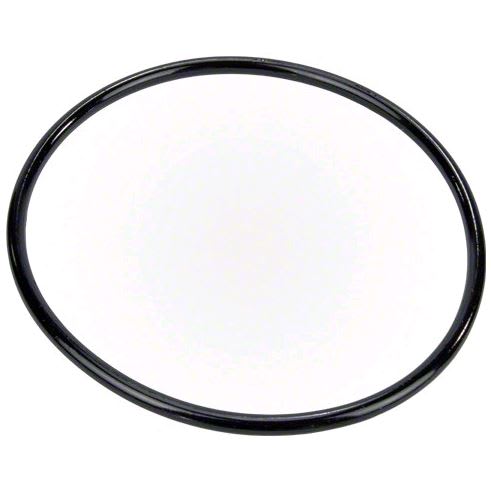 Pentair Pump Lid O-Ring | 350013Z