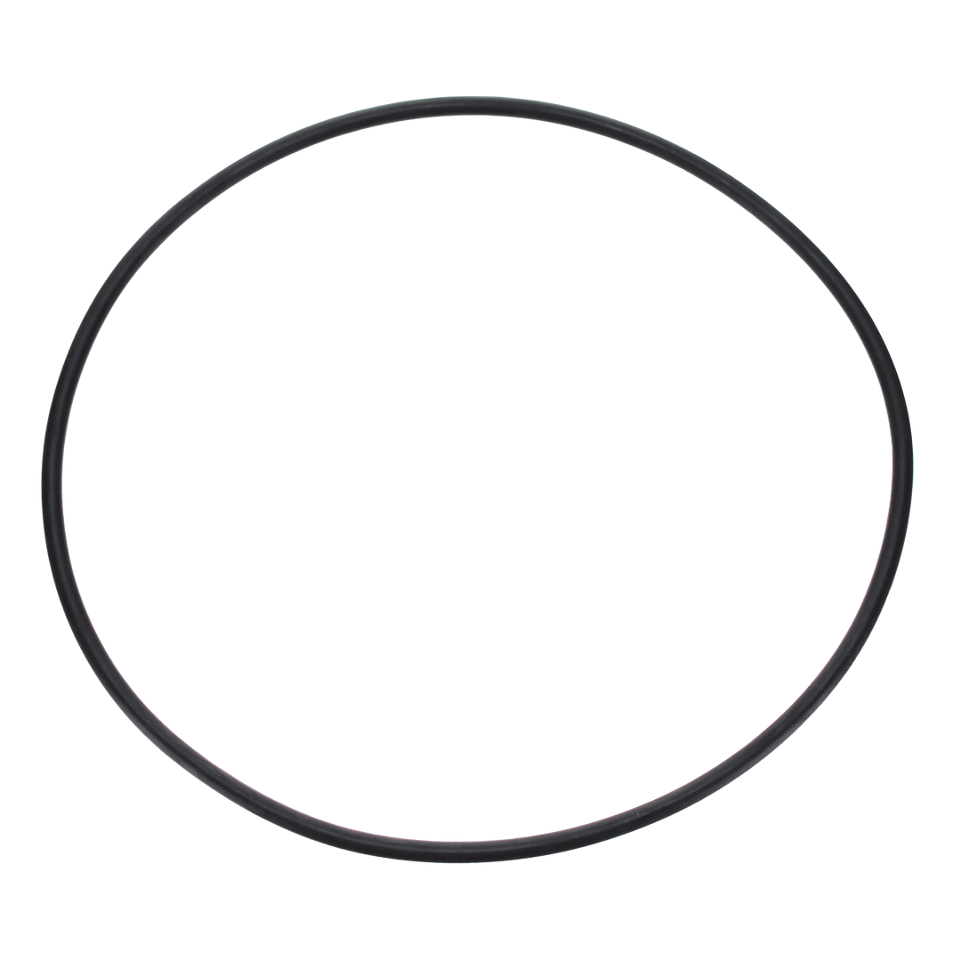 Pentair Seal Plate O-Ring | U9-228AZ