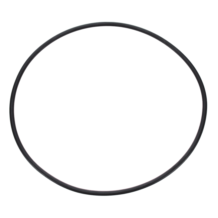 Pentair Seal Plate O-Ring | U9-228AZ