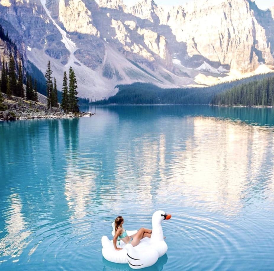 Swimline Original Giant Swan Ride-On Pool Float | 90621