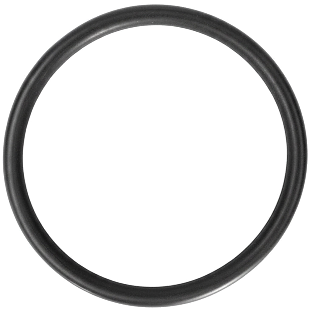 Hayward Bulkhead O-Ring for ProSeries Sand Filters W3S210S W3S310S | SX360Z1
