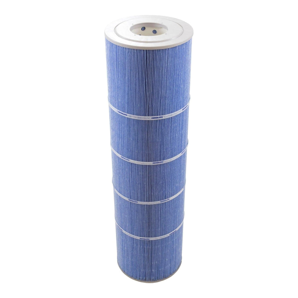 HAYWARD CX875REM REPLACEMENT CART FOR BLUE HAVEN 450 FILTER