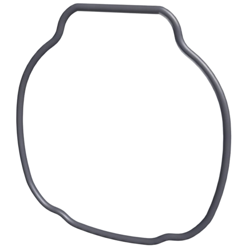 Hayward Housing O-Ring for TriStar VS, VS-C, XE and VS OmniX Pumps | SPX3200T