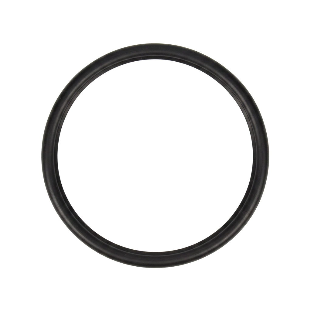 Hayward Lens Gasket | SPX0540Z2