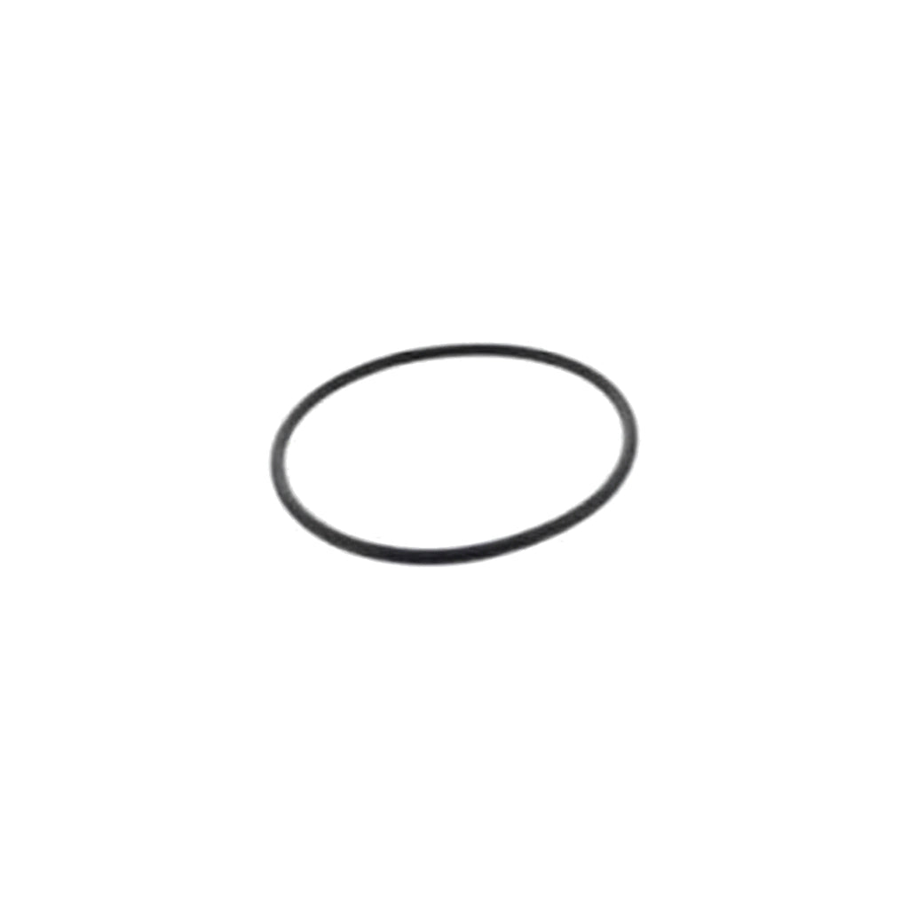 Black round rubber O-ring gasket, Hayward Manway Cover Gasket HCXFMCG1000, on a white background.