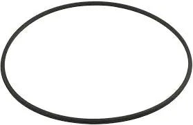 Hayward Metal Reinforced Filter O-Ring Seal | DEX2422Z2