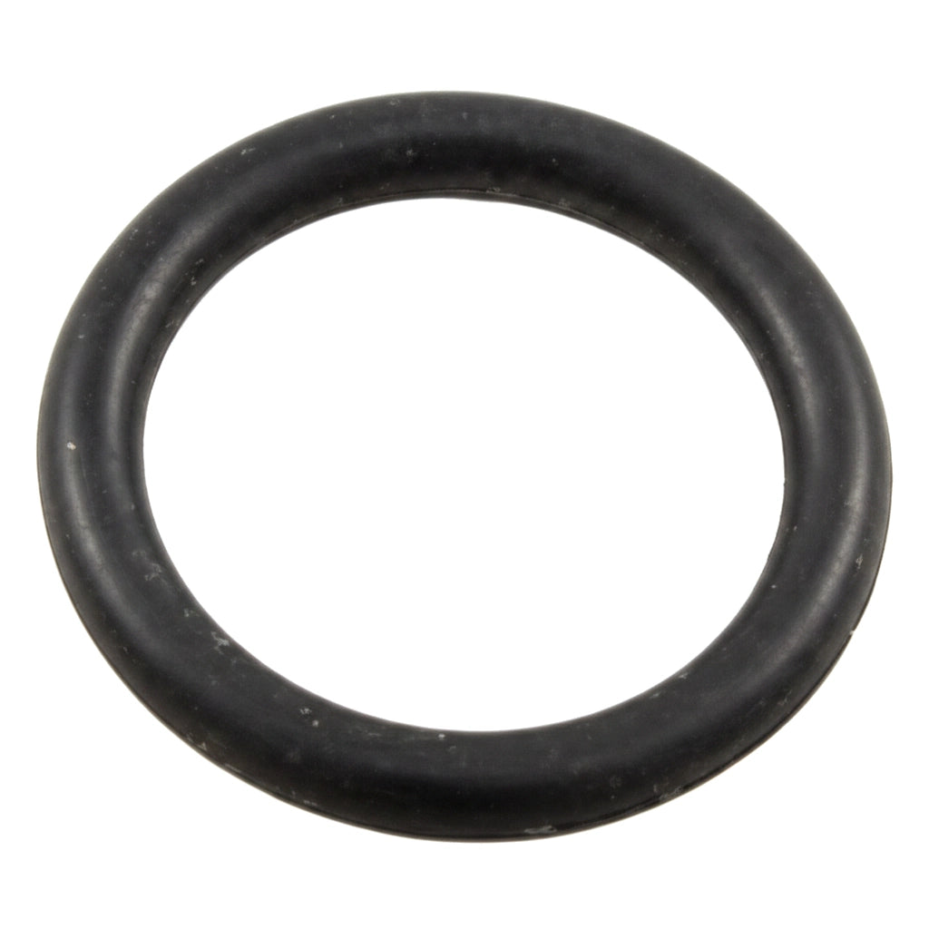 Hayward O-Ring for ProSeries Sand Filters W3S200 W3S210S W3S310S | SX200Z5