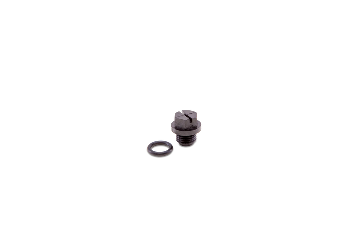 Hayward Pipe Plug w/ Gasket | SPX1700FG