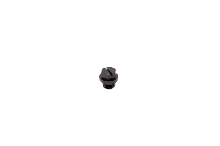 Hayward Pipe Plug w/ Gasket | SPX1700FG