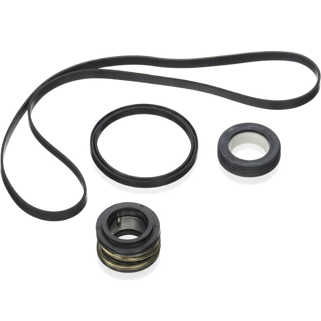 Hayward Seal Assembly Kit | SPX3000TRA