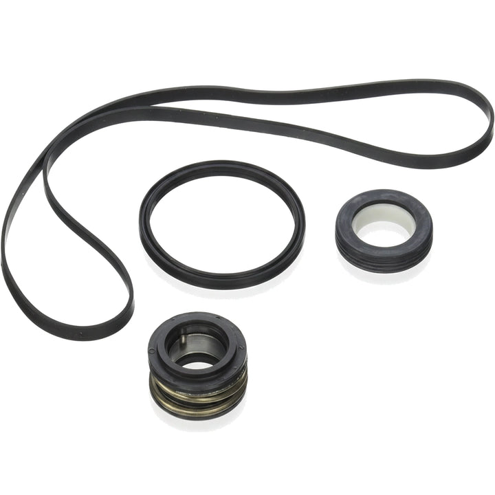 Hayward Seal Assembly Kit | SPX3000TRA