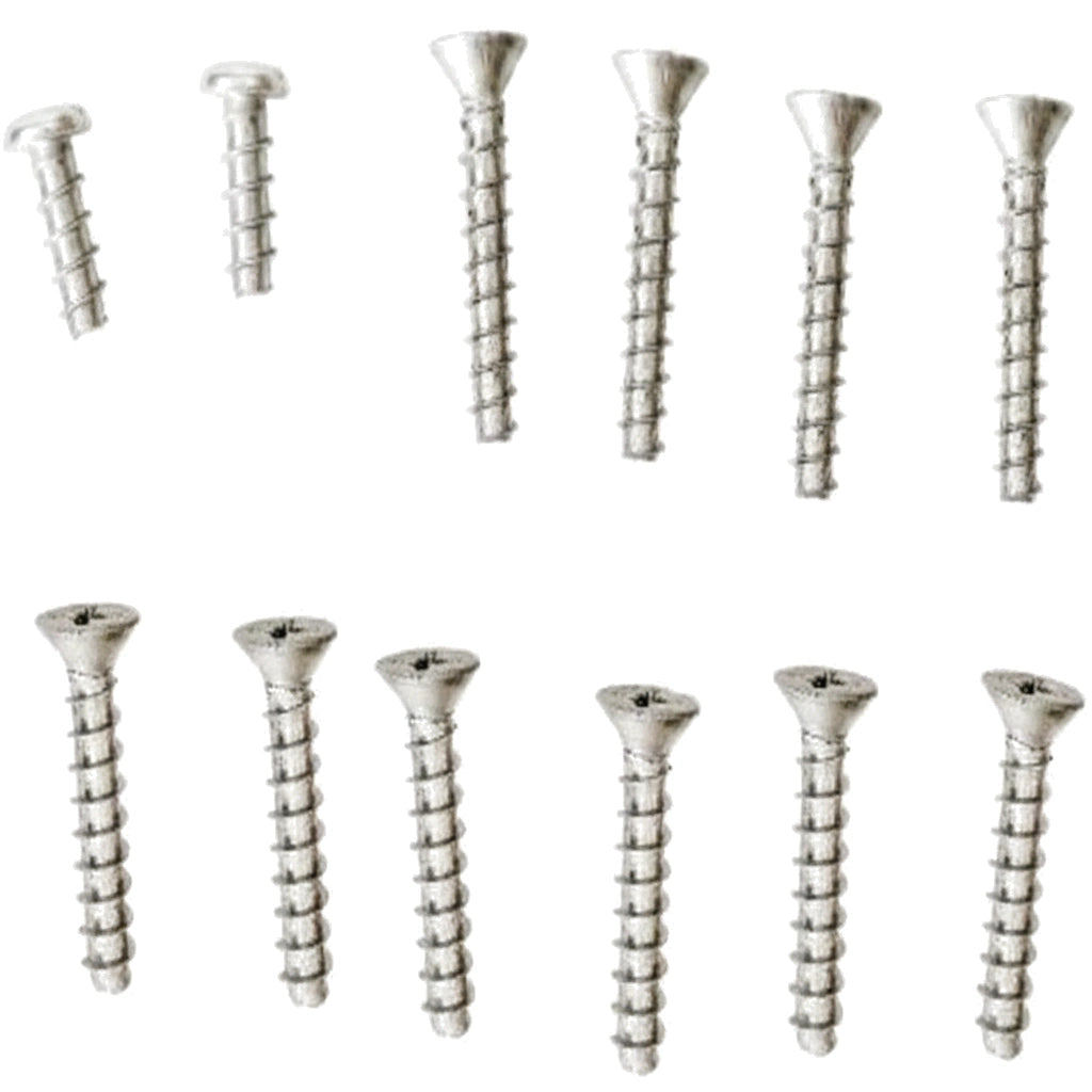 Hayward Self-Tapping Screw Set for SP507 Light Niche | SPX0507Z1A