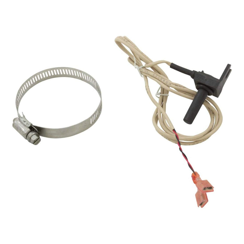 Hayward HPX2169 heat pump sensor with tan wire leads, black probe housing, red connector, and steel hose clamp.