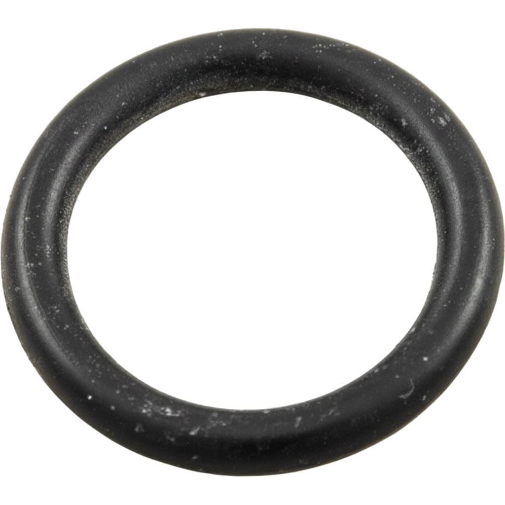 Hayward Star-Clear Plus Knob O-Ring for StarClear Plus Cartridge Filters | CX900H