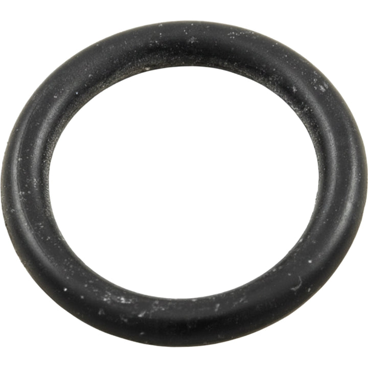 Hayward Star-Clear Plus Knob O-Ring for StarClear Plus Cartridge Filters | CX900H