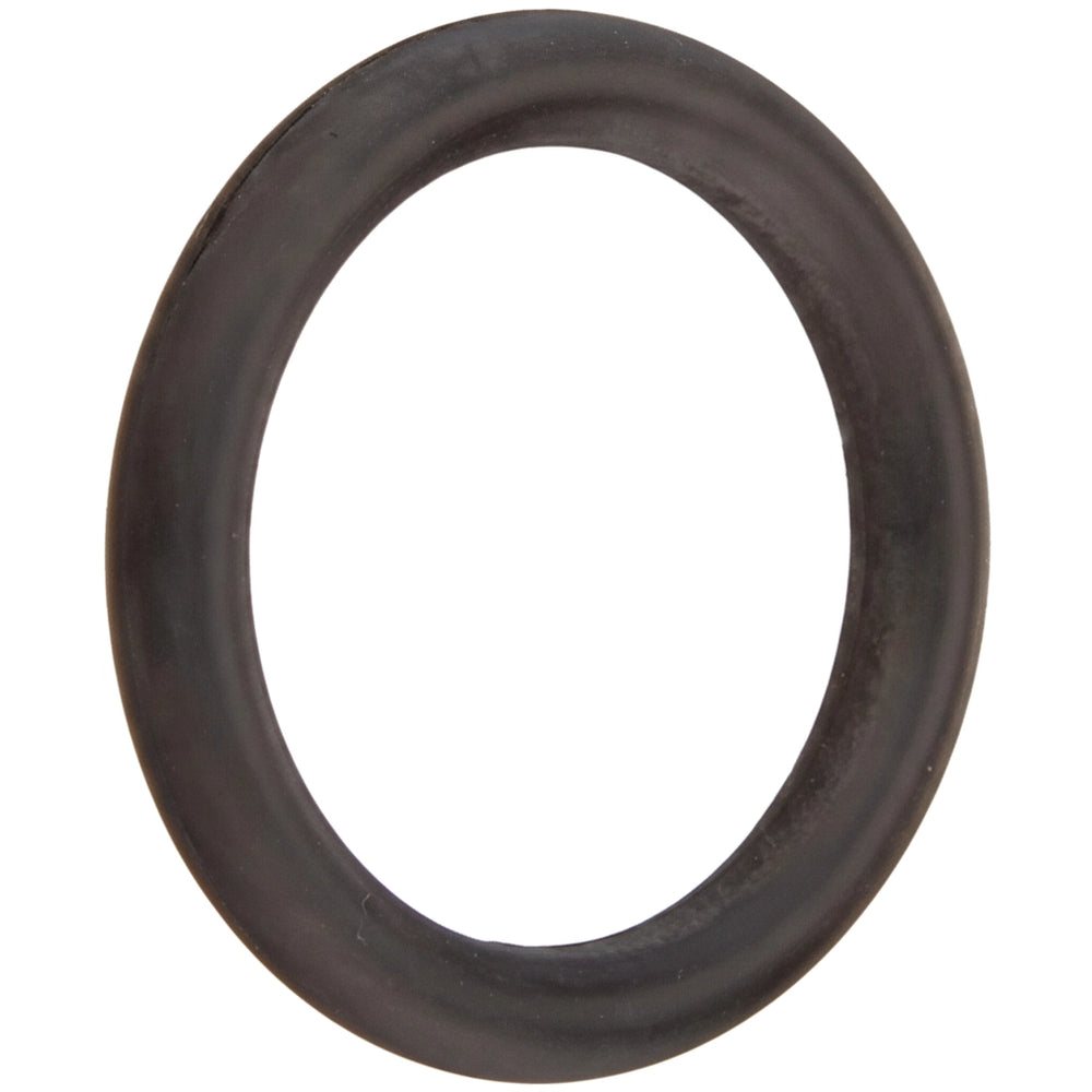 Hayward Star-Clear Plus Knob O-Ring for StarClear Plus Cartridge Filters | CX900H