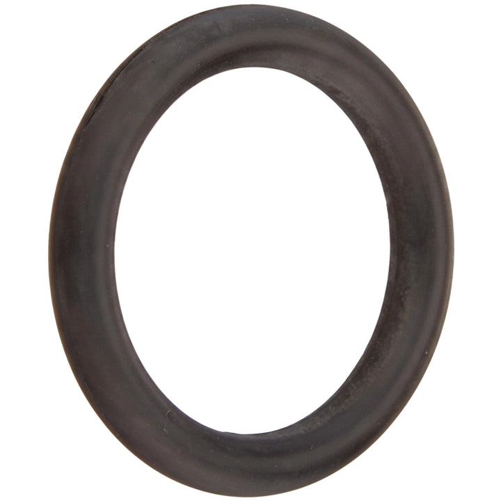 Hayward Star-Clear Plus Knob O-Ring for StarClear Plus Cartridge Filters | CX900H