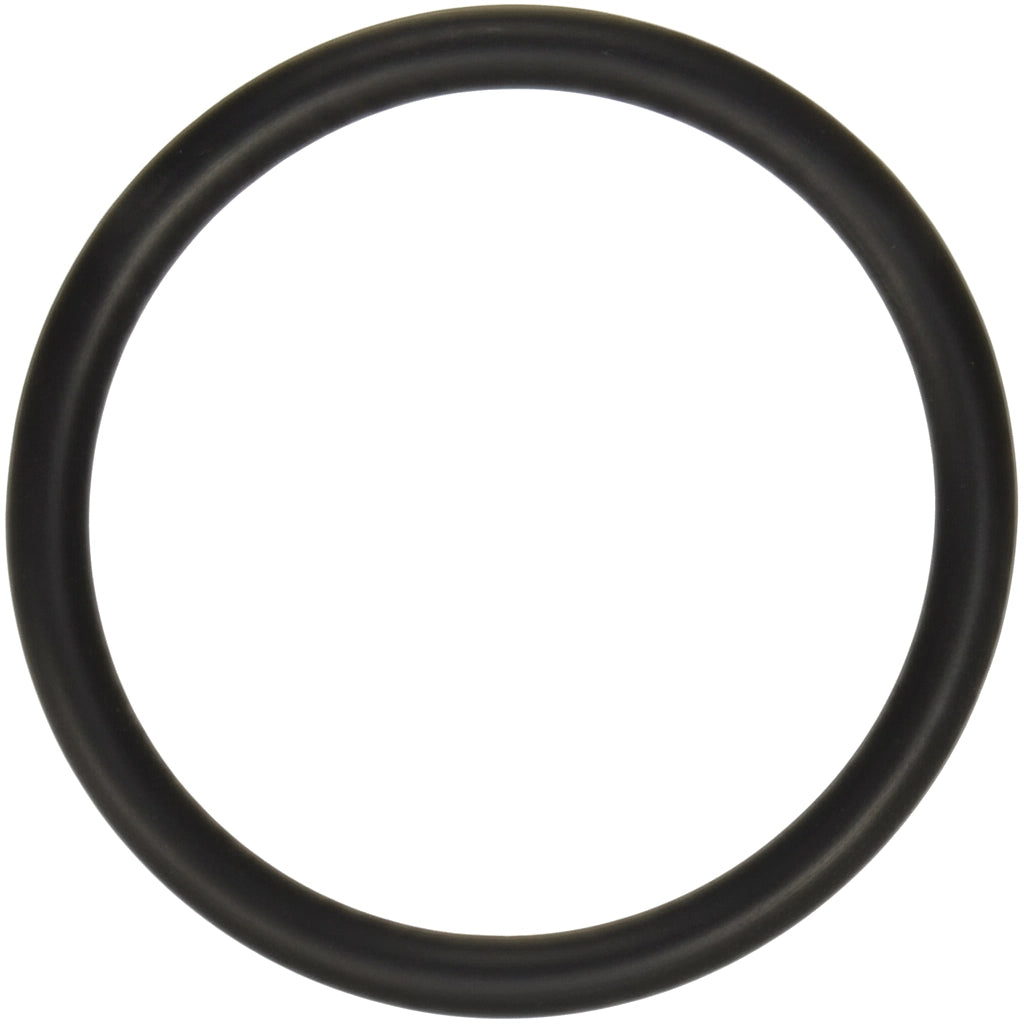 Hayward Strainer O-Ring for PowerFlo Matrix Pumps W3SP1592 W3SP15932S | SPX5500K